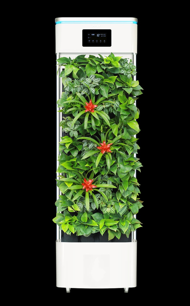 Air purifying plants